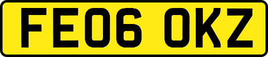FE06OKZ