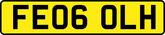 FE06OLH
