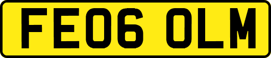 FE06OLM