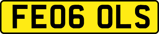 FE06OLS