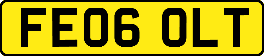 FE06OLT