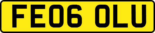 FE06OLU