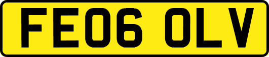 FE06OLV
