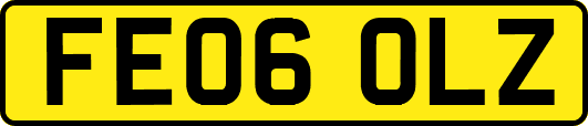 FE06OLZ
