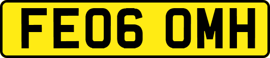 FE06OMH