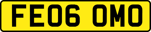 FE06OMO
