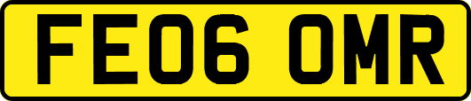 FE06OMR