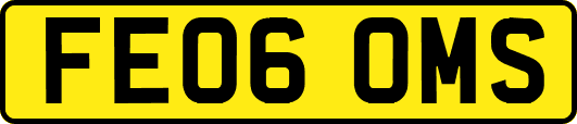 FE06OMS