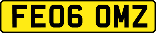 FE06OMZ