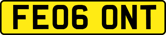 FE06ONT
