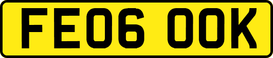 FE06OOK