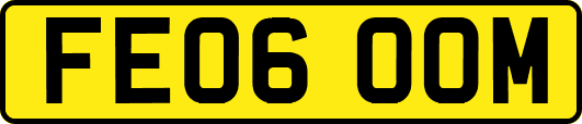 FE06OOM