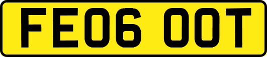 FE06OOT