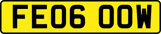 FE06OOW