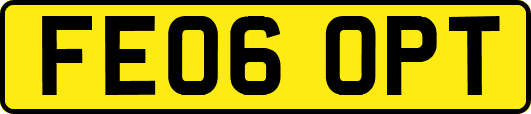 FE06OPT