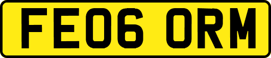 FE06ORM
