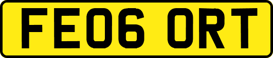 FE06ORT
