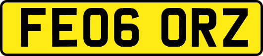 FE06ORZ