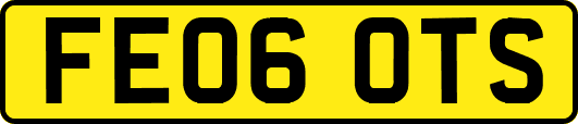 FE06OTS