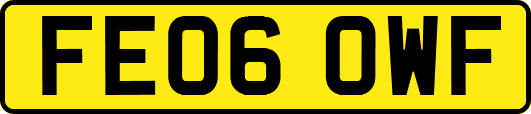 FE06OWF