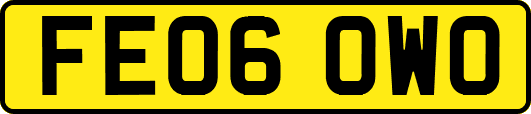 FE06OWO