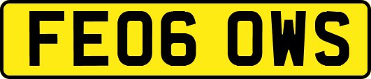 FE06OWS