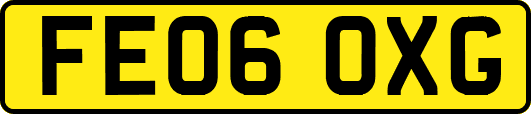 FE06OXG