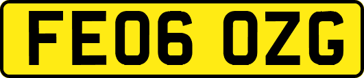FE06OZG