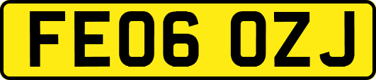 FE06OZJ