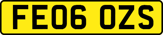 FE06OZS