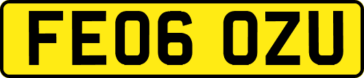 FE06OZU