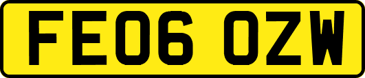 FE06OZW