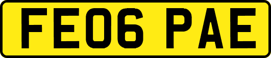 FE06PAE