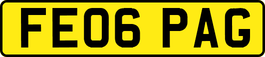 FE06PAG
