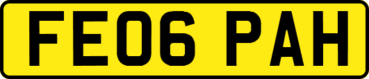 FE06PAH