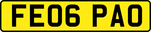 FE06PAO