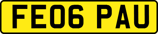 FE06PAU