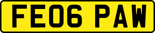 FE06PAW