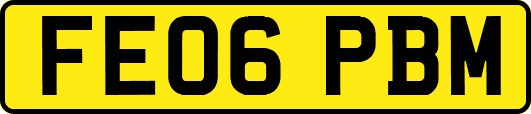 FE06PBM
