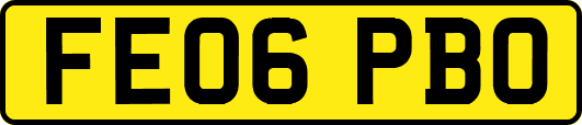 FE06PBO