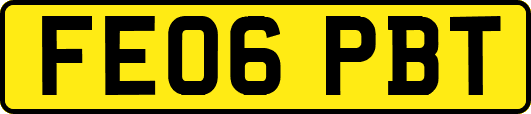 FE06PBT