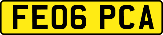 FE06PCA