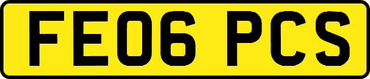 FE06PCS