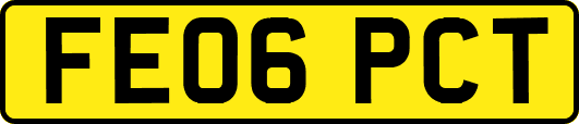 FE06PCT