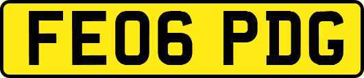 FE06PDG