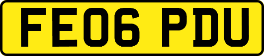 FE06PDU
