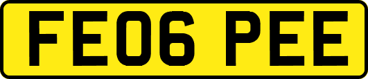 FE06PEE