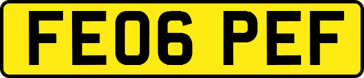 FE06PEF
