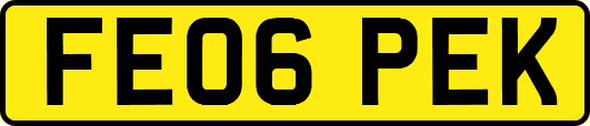 FE06PEK