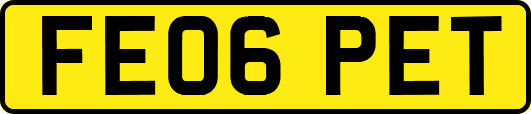 FE06PET